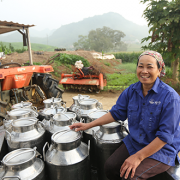 Mộc Châu milk